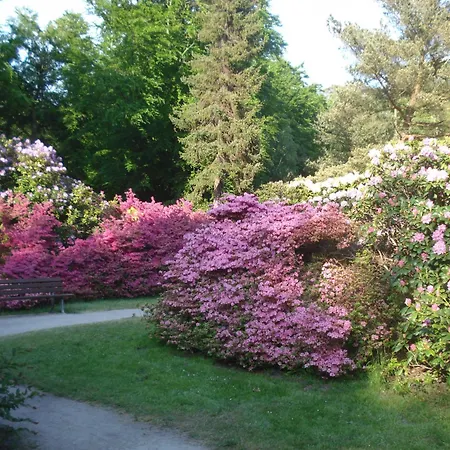 Ferienobjekt Mueritz A7 غرال موريتز